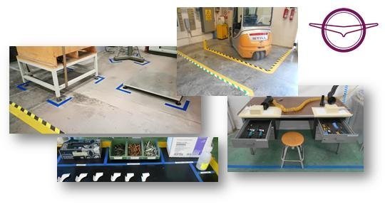 5S Activities in OMA